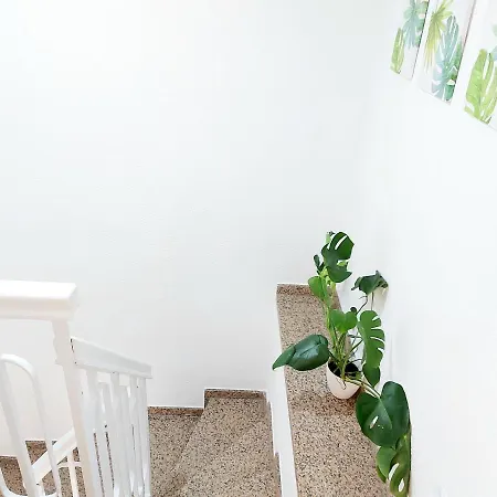Estudios Gloria Alicante